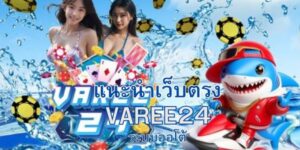 VAREE24 เว็บสล็อตออนไลน์ ไม่ผ่านเอเย่นต์